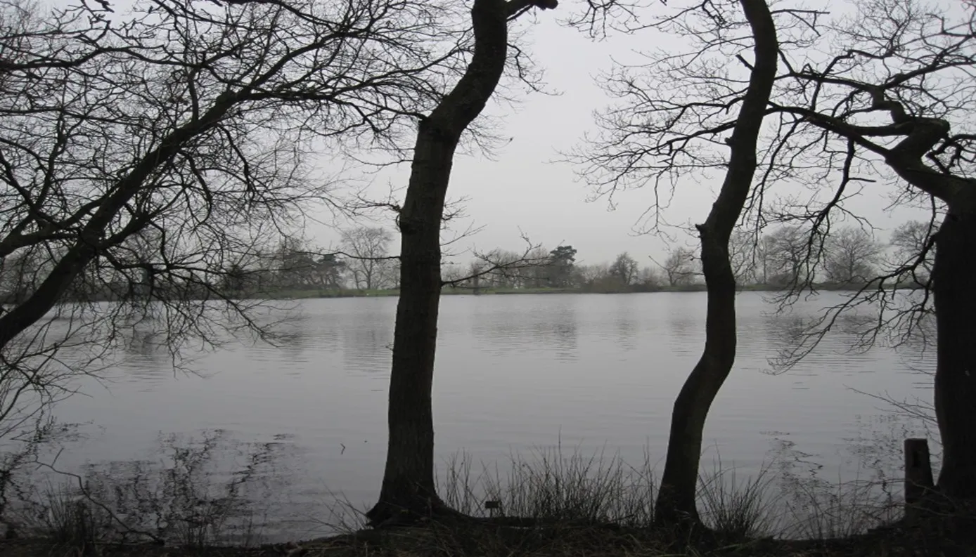 Flood Risk Assessments & Geotechnical Solutions